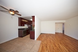 Living Room Kitchen