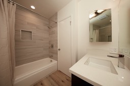 Master Tub Shower